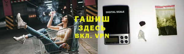 гидра Алексеевка